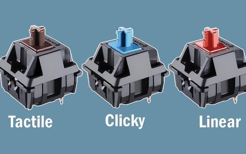 Nên chọn switch tuỳ theo theo nhu cầu sử dụng