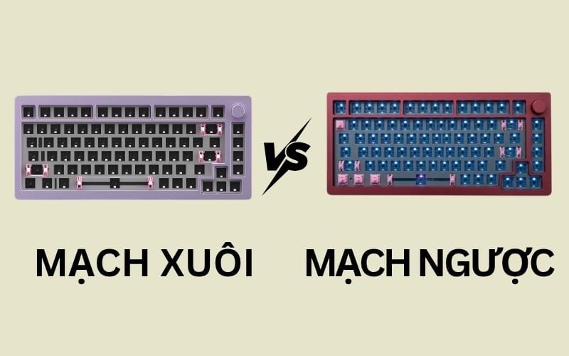 Mạch xuôi ưu tiên tương thích keycap, còn mạch ngược giúp LED hiển thị sáng và rõ hơn