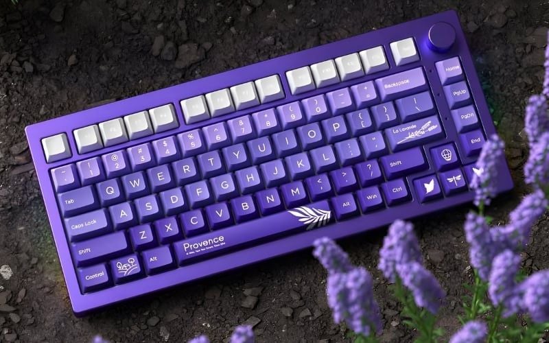 Người dùng Cherry profile nên ưu tiên dùng bàn phím mạch xuôi