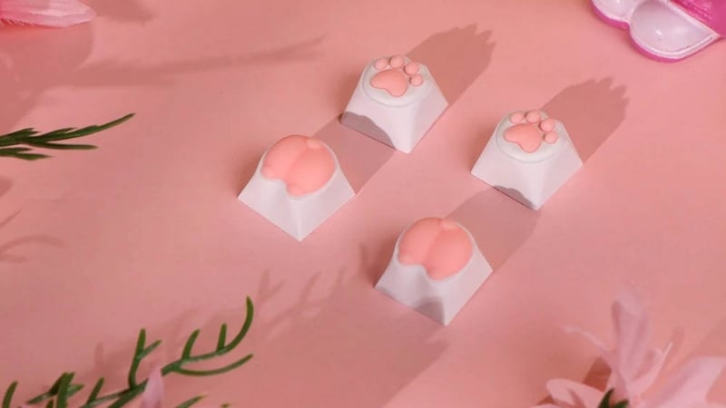Nút bàn phím cơ AKKO Cat Paw Artisan có hộp đựng chỉn chu giúp bảo quản tốt hơn