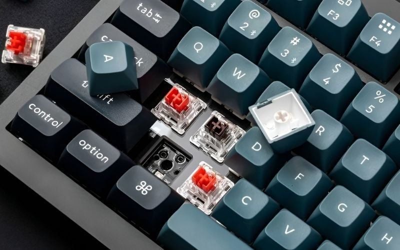 Switch quyết định cảm giác gõ, âm thanh và độ phản hồi