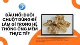 Đầu nối đuôi chuột dùng để làm gì trong hệ thống ống mềm thực tế?