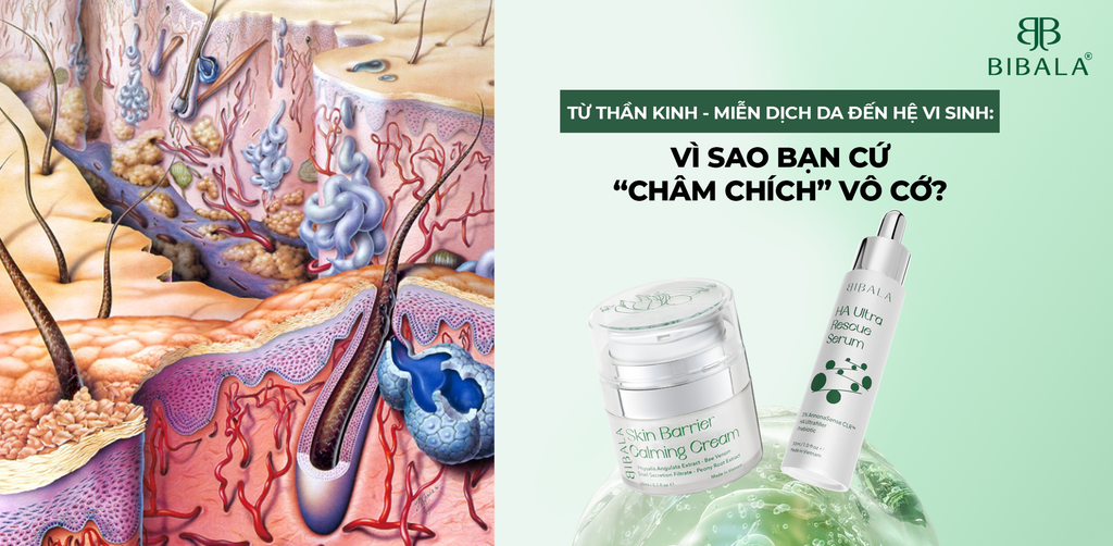 TỪ THẦN KINH - MIỄN DỊCH DA ĐẾN HỆ VI SINH: VÌ SAO BẠN CỨ “CHÂM CHÍCH” VÔ CỚ?