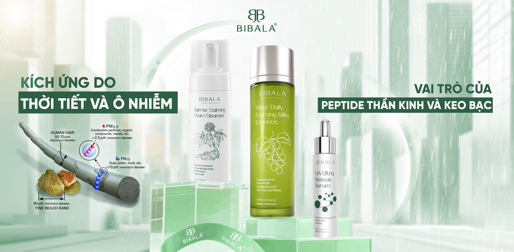 KÍCH ỨNG DO THỜI TIẾT VÀ Ô NHIỄM - VAI TRÒ CỦA PEPTIDE THẦN KINH VÀ KEO BẠC