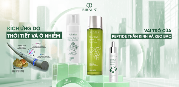 KÍCH ỨNG DO THỜI TIẾT VÀ Ô NHIỄM - VAI TRÒ CỦA PEPTIDE THẦN KINH VÀ KEO BẠC