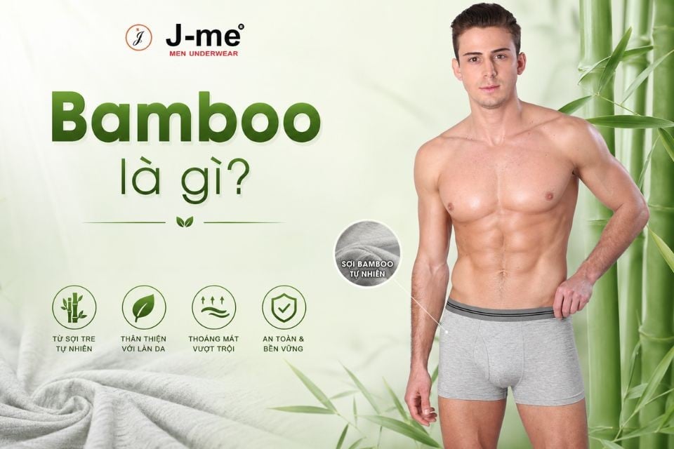 Bamboo là gì? Những điều bạn cần biết