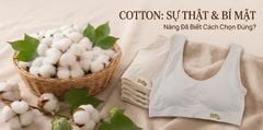 Chất Liệu Cotton Là Gì? Ưu Điểm Và Cách Chọn Đồ Cotton