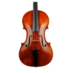 Viola