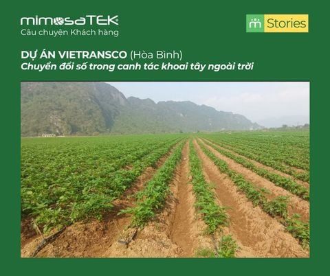 CHUYỂN ĐỔI SỐ CANH TÁC KHOAI TÂY TẠI HTX VIETRANSCO (HÒA BÌNH)