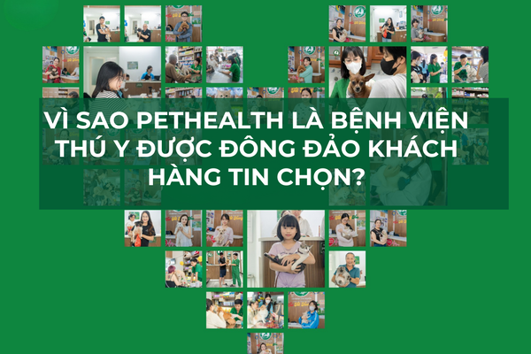 Vì Sao PetHealth Là Bệnh Viện Thú Y Được Đông Đảo Khách Hàng Tin Chọn?