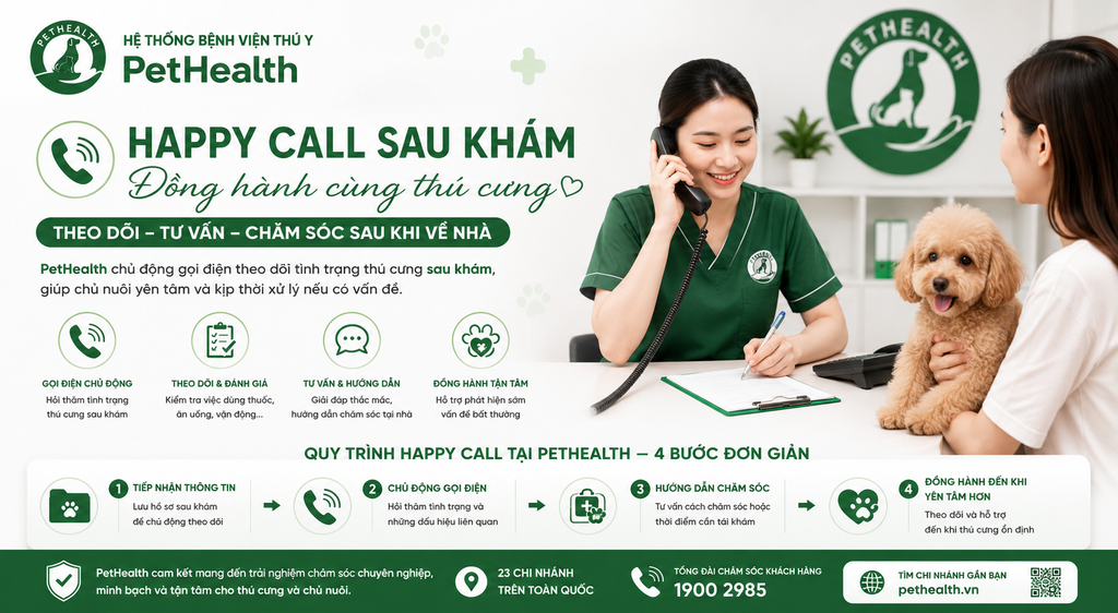 Happy Call sau khám tại PetHealth – Vì sao chúng tôi luôn gọi lại để theo dõi thú cưng sau khi về nhà?