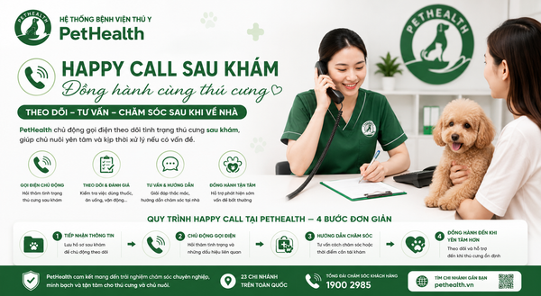 Happy Call sau khám tại PetHealth – Vì sao chúng tôi luôn gọi lại để theo dõi thú cưng sau khi về nhà?