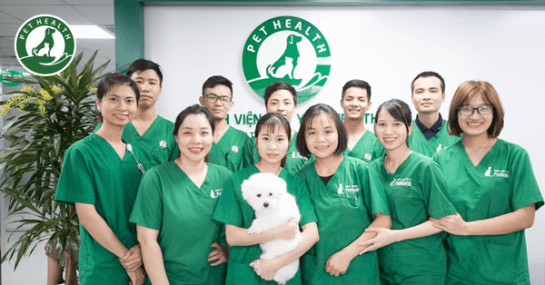 Bệnh Viện Thú Y Pethealth – Hệ Thống Bệnh Viện Thú Y 24/7 Uy Tín