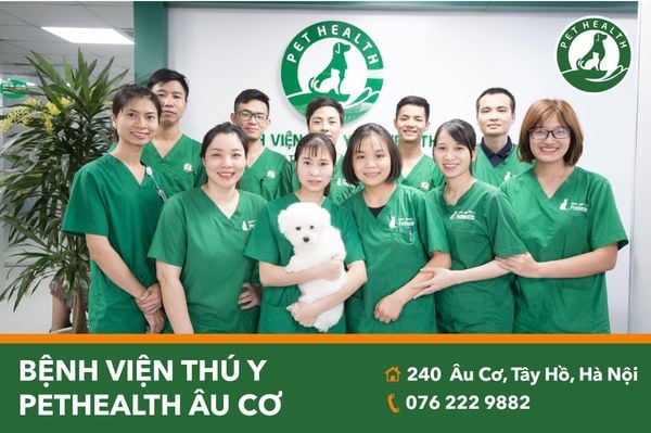 Chi nhánh Âu Cơ