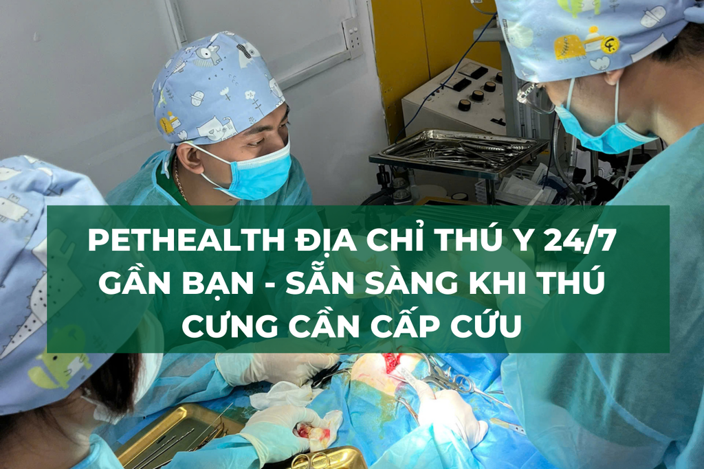 Pethealth – Địa Chỉ Thú Y 24/7 Gần Bạn, Sẵn Sàng Khi Thú Cưng Cần Cấp Cứu
