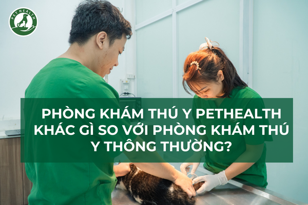 Phòng khám Thú Y PetHealth Khác Gì Phòng Khám Thú Y Thông Thường?