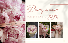 MÙA PEONY 2026: HOA ĐẸP RỰC RỠ, ƯU ĐÃI NGỌT NGÀO LÊN ĐẾN 30%