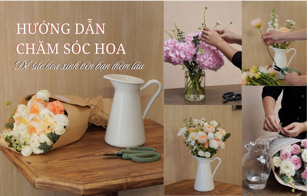 HƯỚNG DẪN CHĂM SÓC HOA: ĐỂ SẮC HOA XINH BÊN BẠN THÊM LÂU