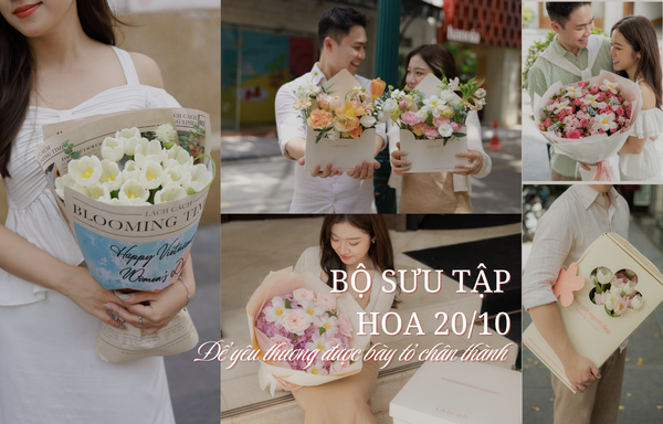 BỘ SƯU TẬP HOA 20/10 - ĐỂ YÊU THƯƠNG ĐƯỢC BÀY TỎ CHÂN THÀNH