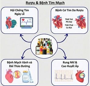 Rượu bia và nguy cơ tiềm tàng tới sức khỏe