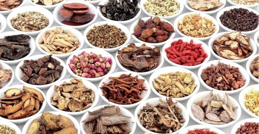 gem88 đổi thưởng Thực hư cùng đầy đủ điều đề nghị biết về trang cá chơi ngay trực nhỏ dại đường ví trí đầu tiên