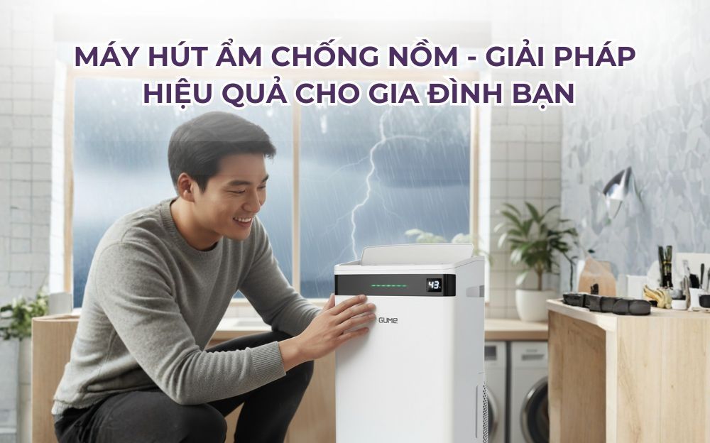 Máy hút ẩm chống nồm - Giải pháp hiệu quả cho gia đình bạn