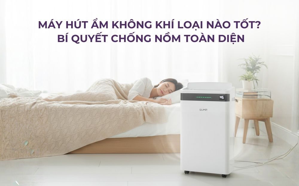 Máy hút ẩm không khí loại nào tốt? Bí quyết chống nồm toàn diện