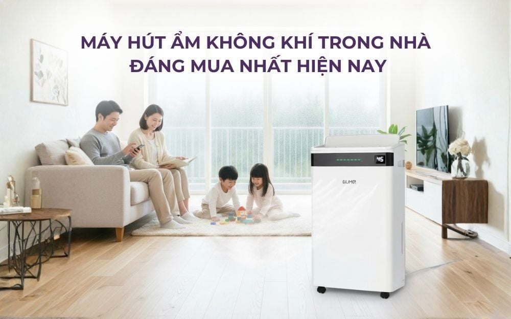 Máy hút ẩm không khí trong nhà đáng mua nhất hiện nay