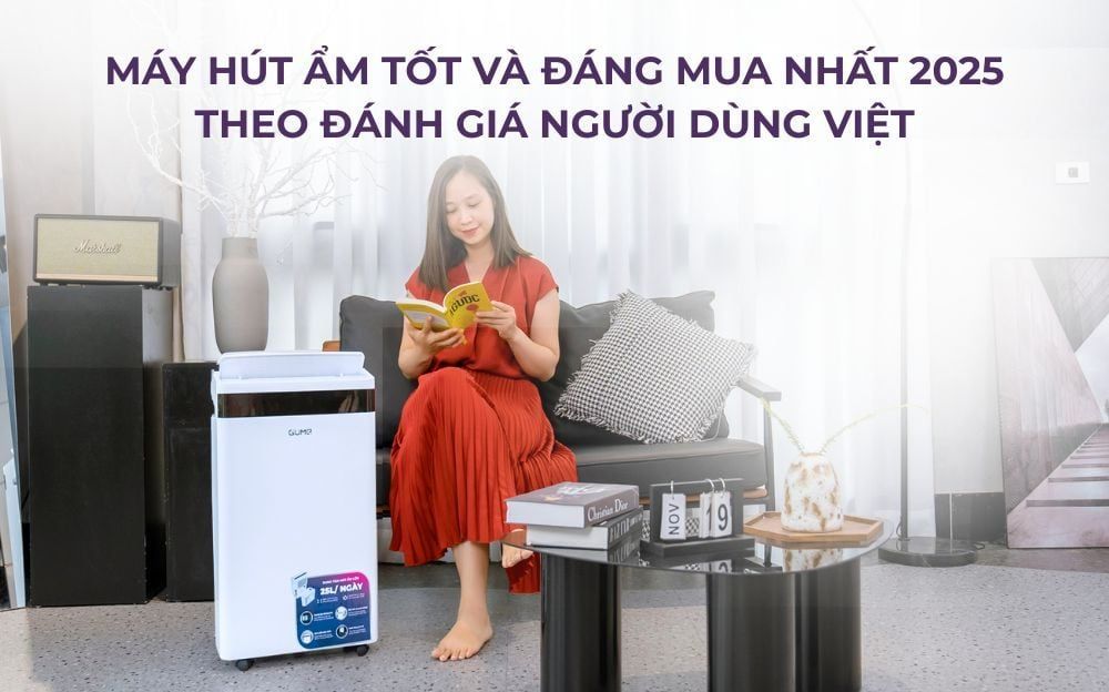 Máy hút ẩm tốt và đáng mua nhất 2025 theo đánh giá người dùng Việt