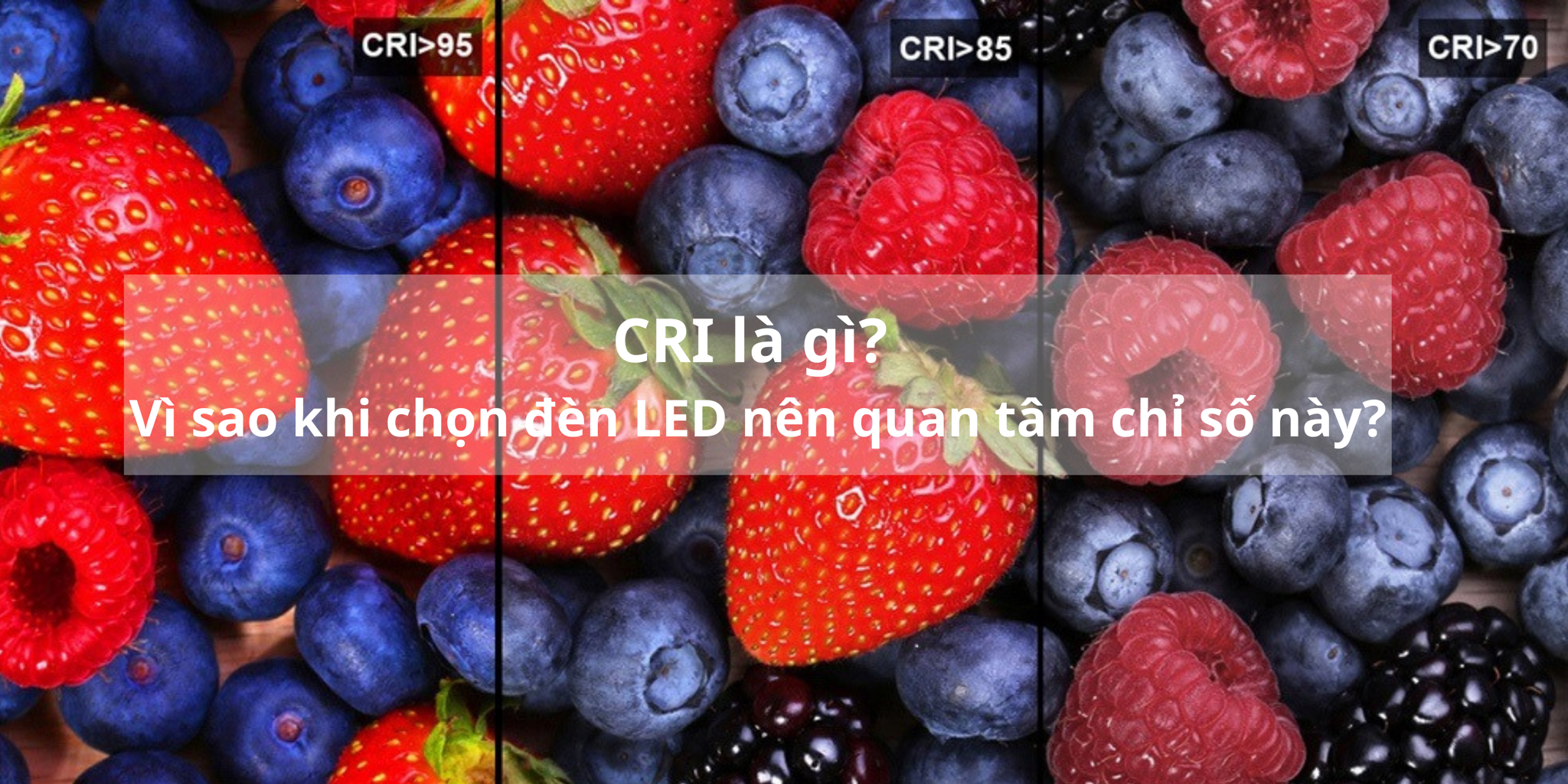 CRI là gì? Vì sao khi chọn đèn LED nên quan tâm chỉ số này? – Công ty ...
