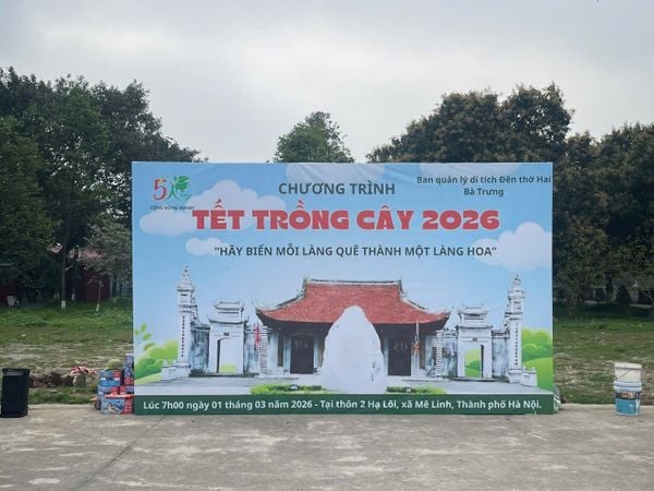 Weldtec tham gia chương trình trồng cây đầu năm 2026