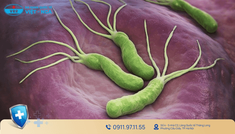 NHIỄM VI KHUẨN HELICOBACTER PYLORI
