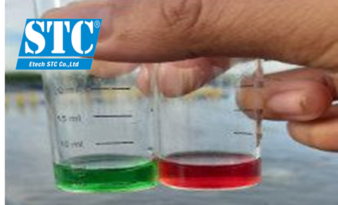 3 BƯỚC XỬ LÝ NH4⁺/NH3 – NO2⁻ KHI NUÔI TÔM THẺ TRONG AO LÓT BẠT 100%