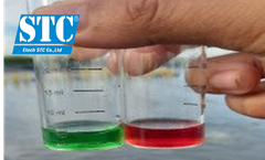 3 BƯỚC XỬ LÝ NH4⁺/NH3 – NO2⁻ KHI NUÔI TÔM THẺ TRONG AO LÓT BẠT 100%