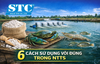 6 CÁCH SỬ DỤNG VÔI ĐÚNG TRONG NTTS