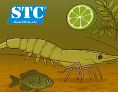 BỘ ĐÔI THẢO DƯỢC STC K9 & A8 THÂN THIỆN MÔI TRƯỜNG NTTS