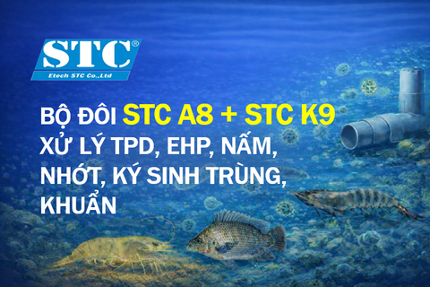 BỘ ĐÔI STC A8 +  STC K9  XỬ LÝ TPD, EHP, NẤM, NHỚT, KÝ SINH TRÙNG, KHUẨN