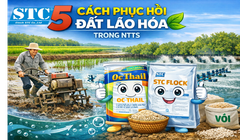 5 CÁCH PHỤC HỒI ĐẤT LÃO HÓA TRONG NTTS