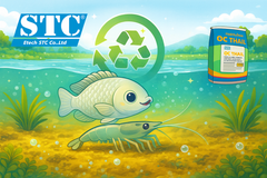 LỚP ĐỆM SINH HỌC OC THAIL GÓP PHẦN BẢO VỆ MÔI TRƯỜNG