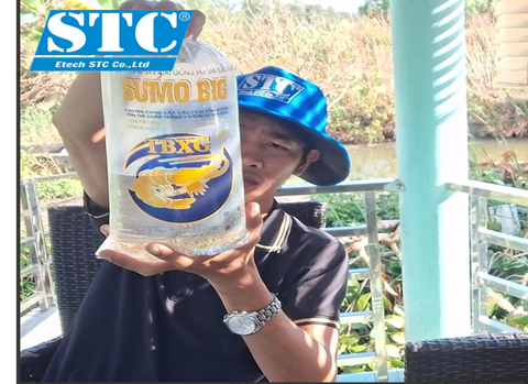 HƯỚNG DẪN THẢ TÔM ĐẠT TỶ LỆ SỐNG CAO THEO QUY TRÌNH STC A3