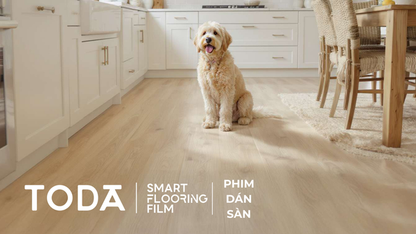 PHIM DÁN SÀN TODA - GIẢI PHÁP CẢI TẠO SÀN NHÀ