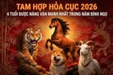 4 CON GIÁP ĐƯỢC 