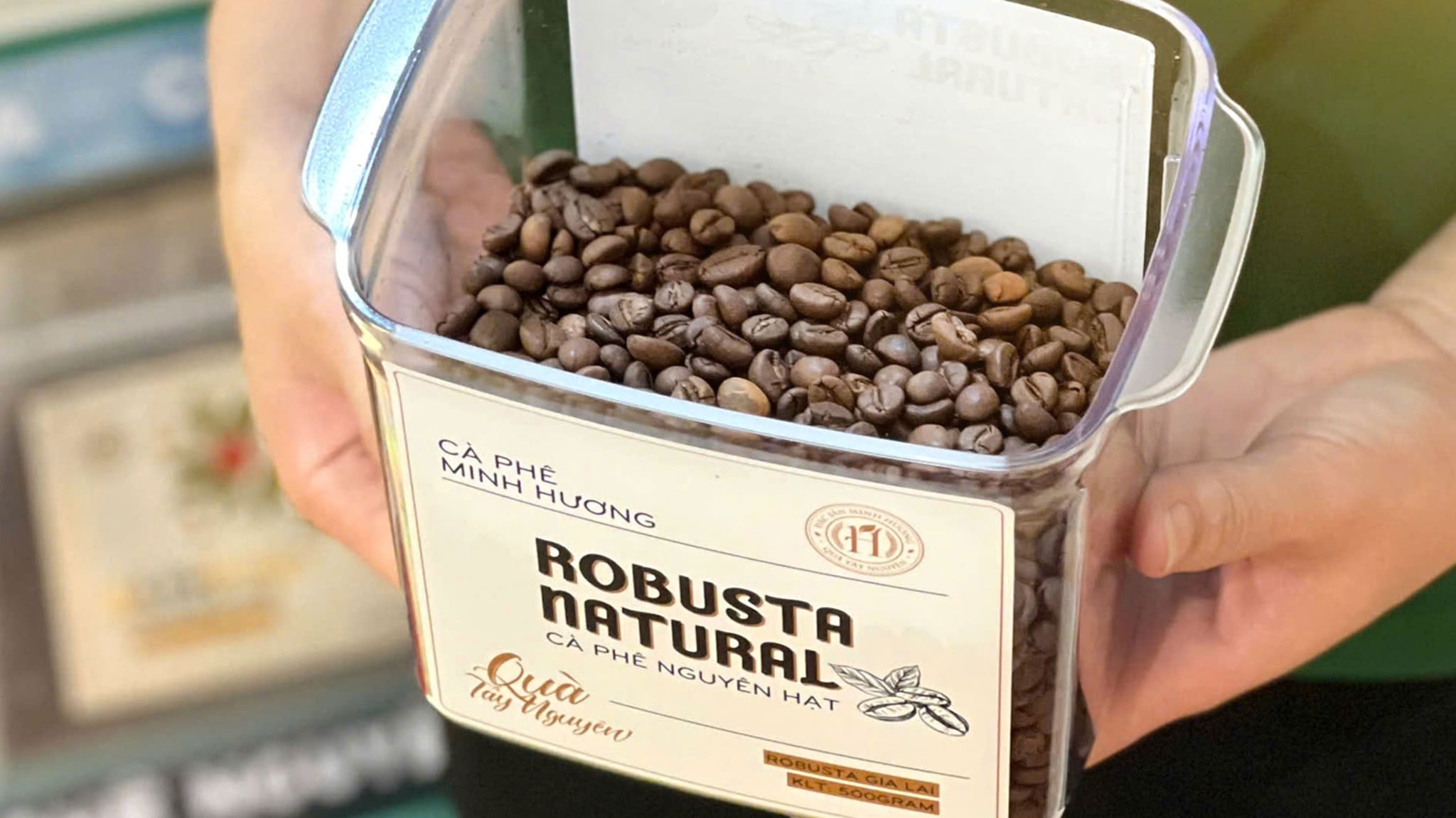 Cà phê Gia Lai nào ngon, thơm, mua ở đâu?