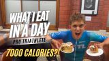 Bí Quyết Dinh Dưỡng Của Pro Triathlete: Từ Lý Thuyết Đến Bàn Ăn Thực Tế Của Những Nhà Vô Địch