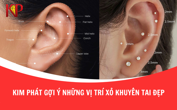 Kim Phát gợi ý những vị trí xỏ khuyên tai đẹp