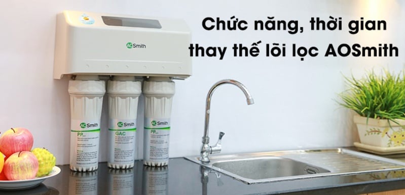 Thời gian thay lõi máy lọc nước aosmith mấy tháng? 12 hay 16