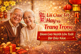 Lời chúc Tết hay và trang trọng dành cho người lớn tuổi dịp đầu năm
