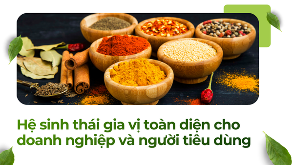 Vipep – Hệ sinh thái gia vị toàn diện cho doanh nghiệp và người tiêu dùng