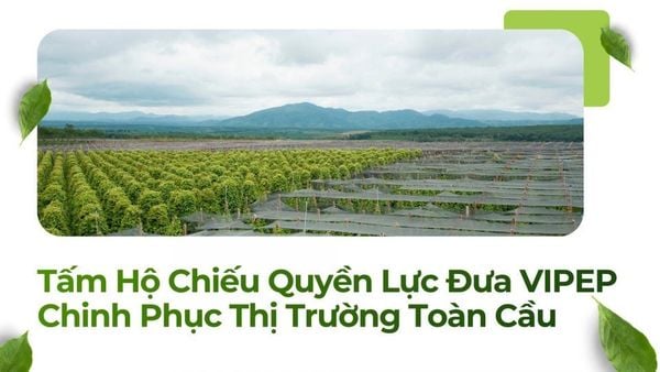 Tấm Hộ Chiếu Quyền Lực Đưa VIPEP Chinh Phục Thị Trường Toàn Cầu