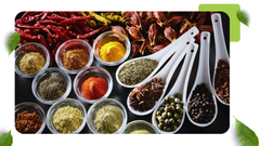 Tuyển Đại Lý – Nhà Phân Phối Gia Vị Vipep | Cơ Hội Kinh Doanh Bền Vững, Lợi Nhuận Ổn Định